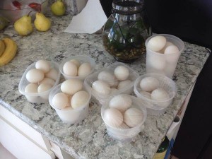 organic free range duck eggs