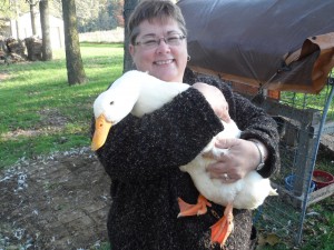 pekin duck hug