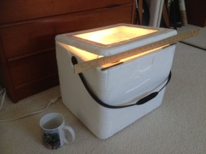 home made incubator